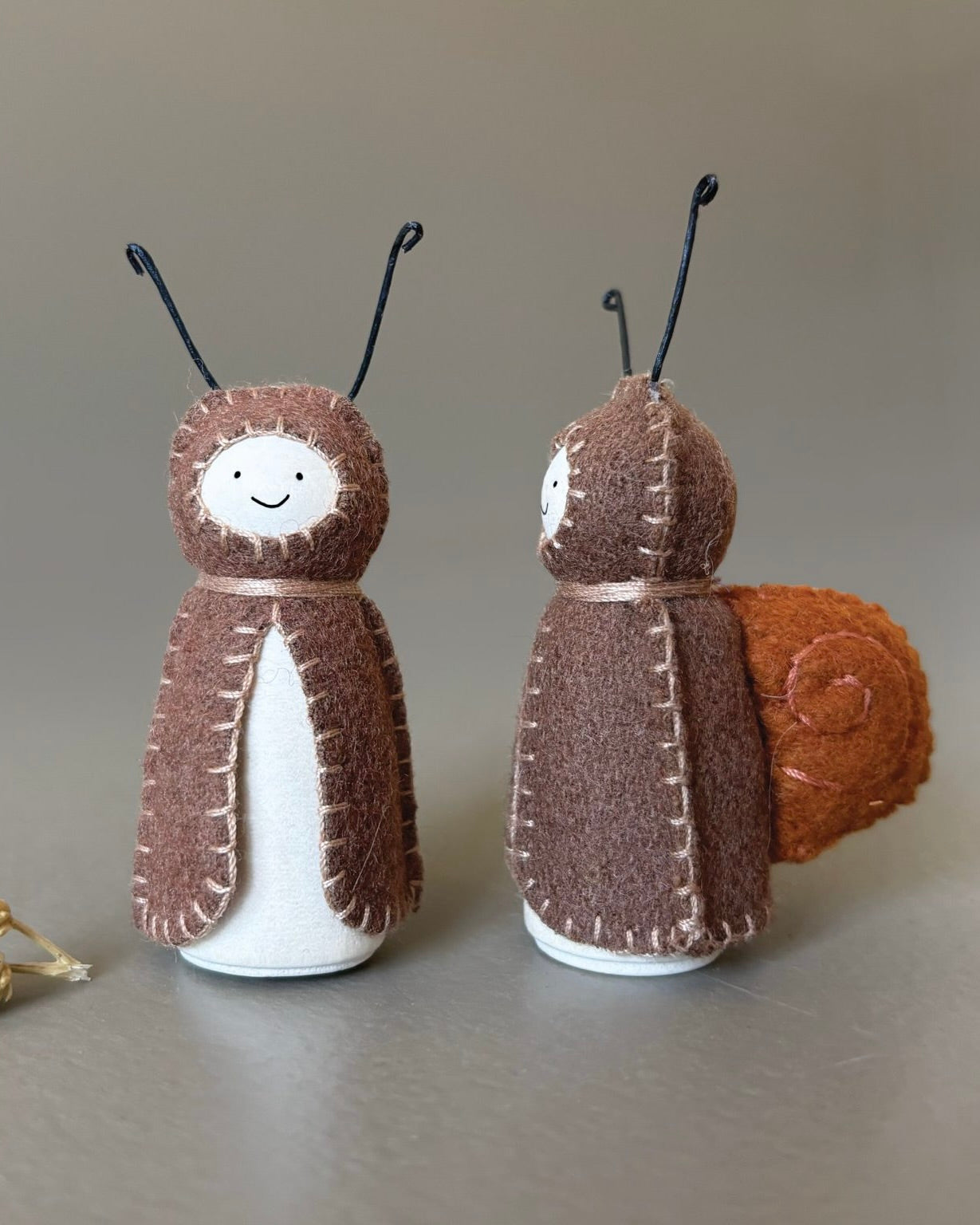 Woodland Bug - Snail