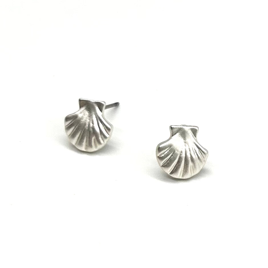 Clam Shell Stud Earrings