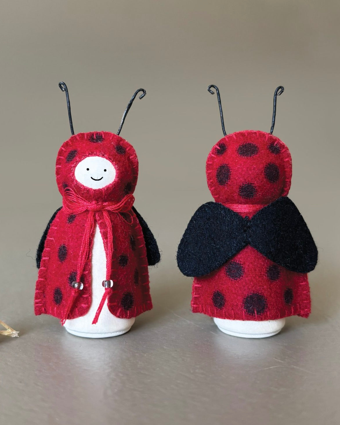 Woodland Bug - Ladybird