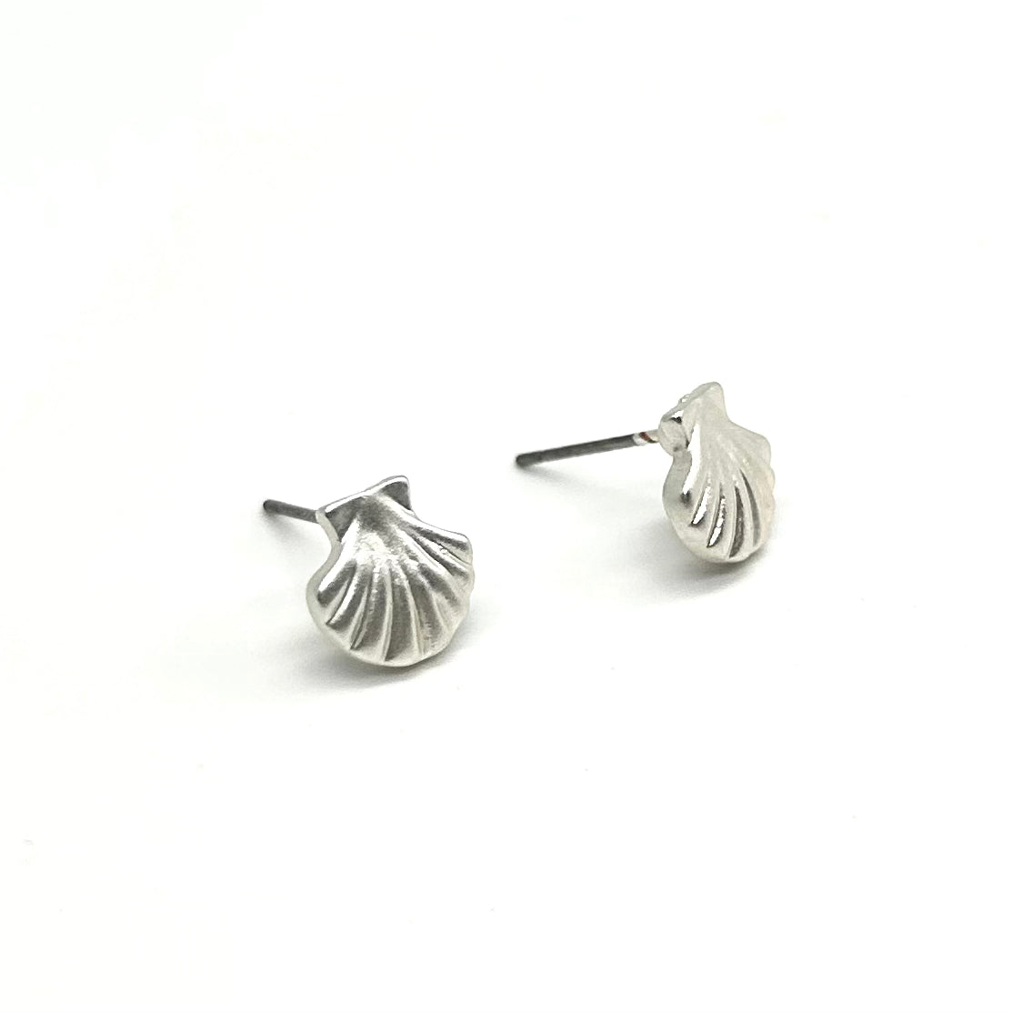 Clam Shell Stud Earrings