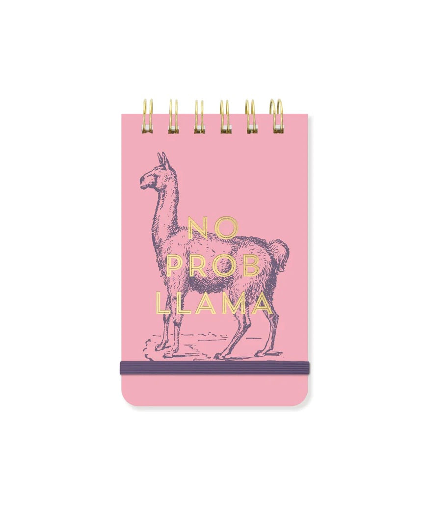 Vintage Sass Twin Wire Notepad - No Prob Llama