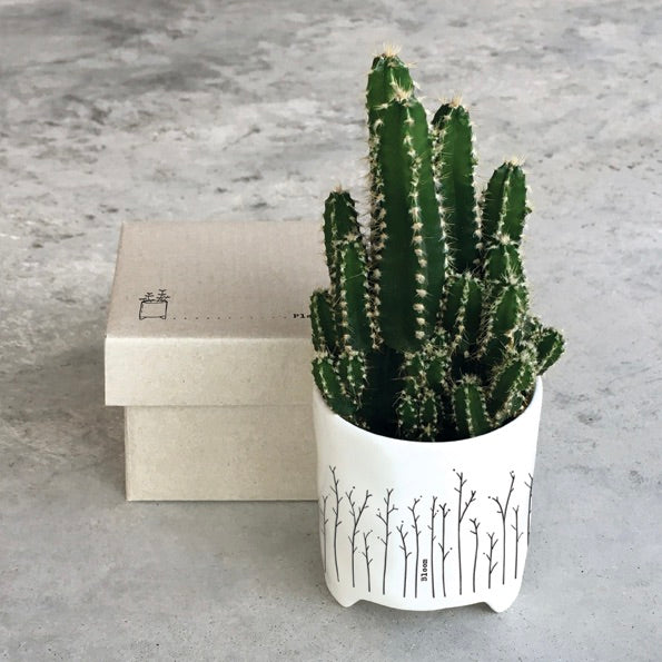 Porcelain Planter - Bloom/Sprigs