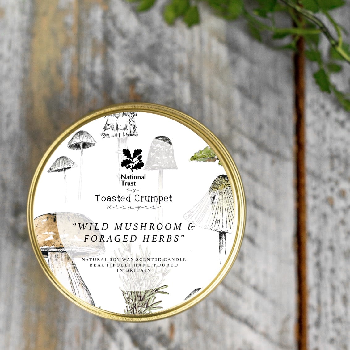 Toasted Crumpet Wild Mushroom & Foraged Herbs Candle Tin