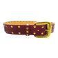 Multi Studded Gold Buckle Belt