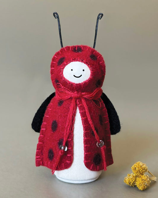 Woodland Bug - Ladybird