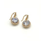 Crystal Hook Earrings