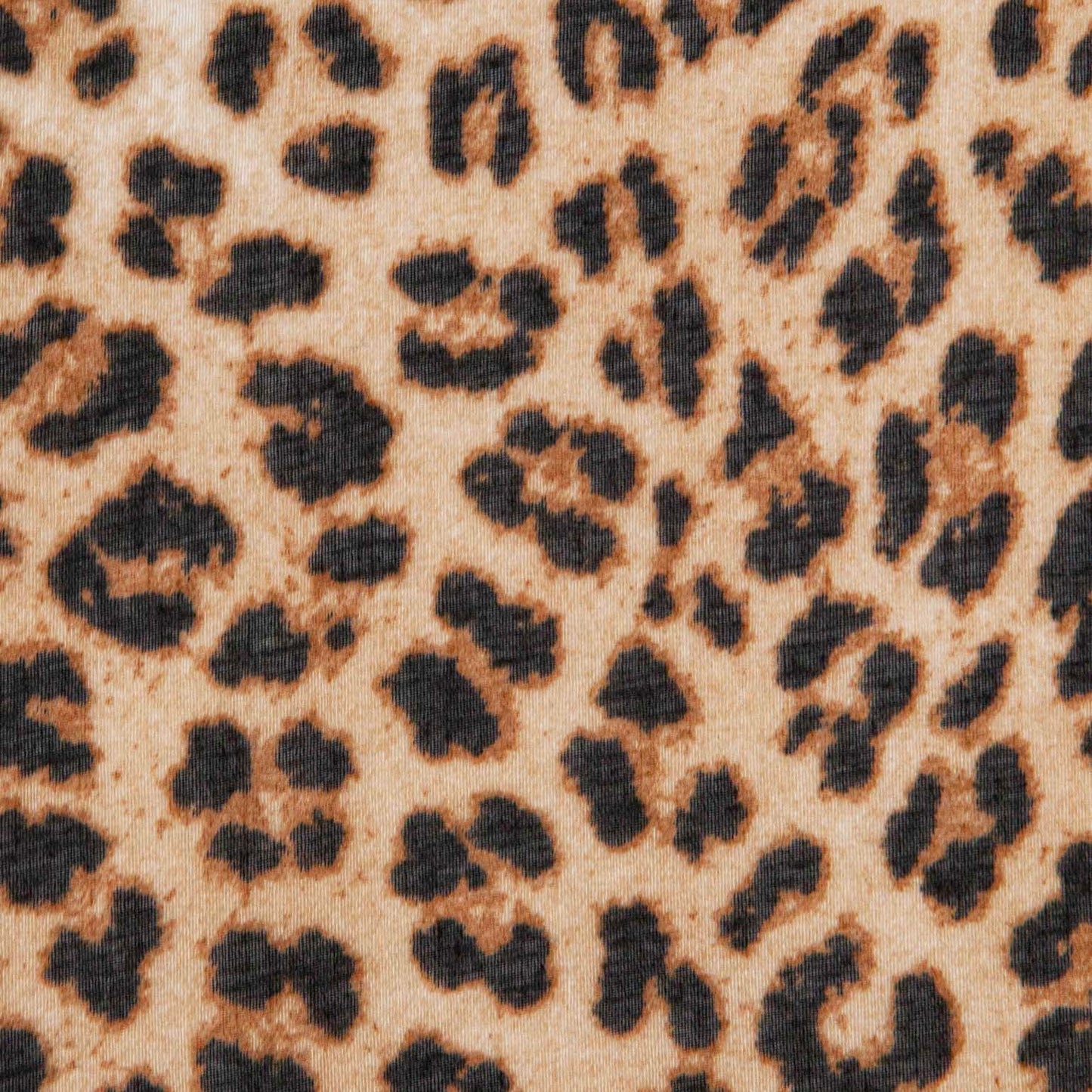Odessa Leopard Print Scarf