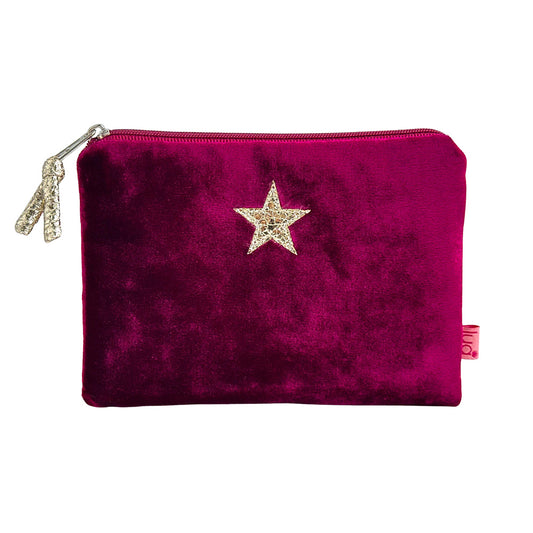 Star Velvet Purse