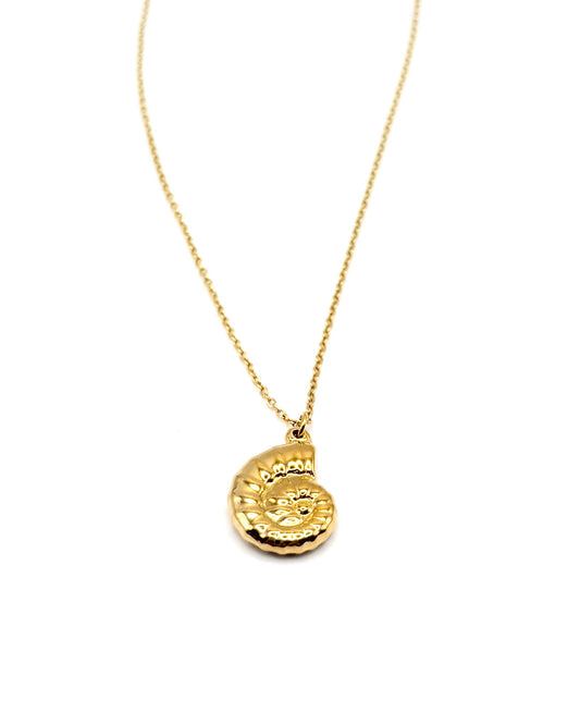 Lone Ammonite Necklace