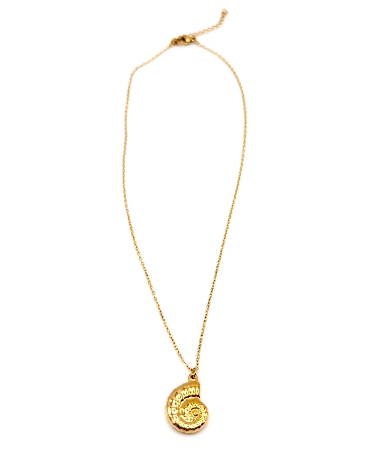 Lone Ammonite Necklace