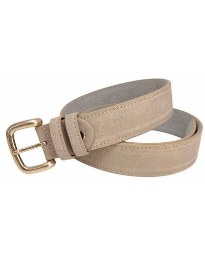 Suede Gold Buckle Belt