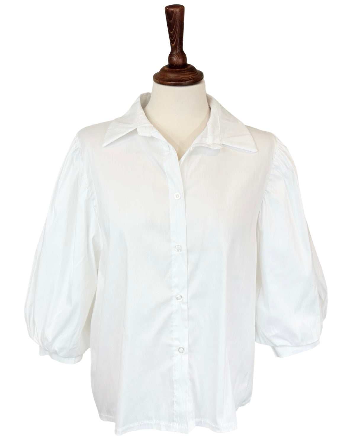 Adaline Balloon Sleeve Blouse