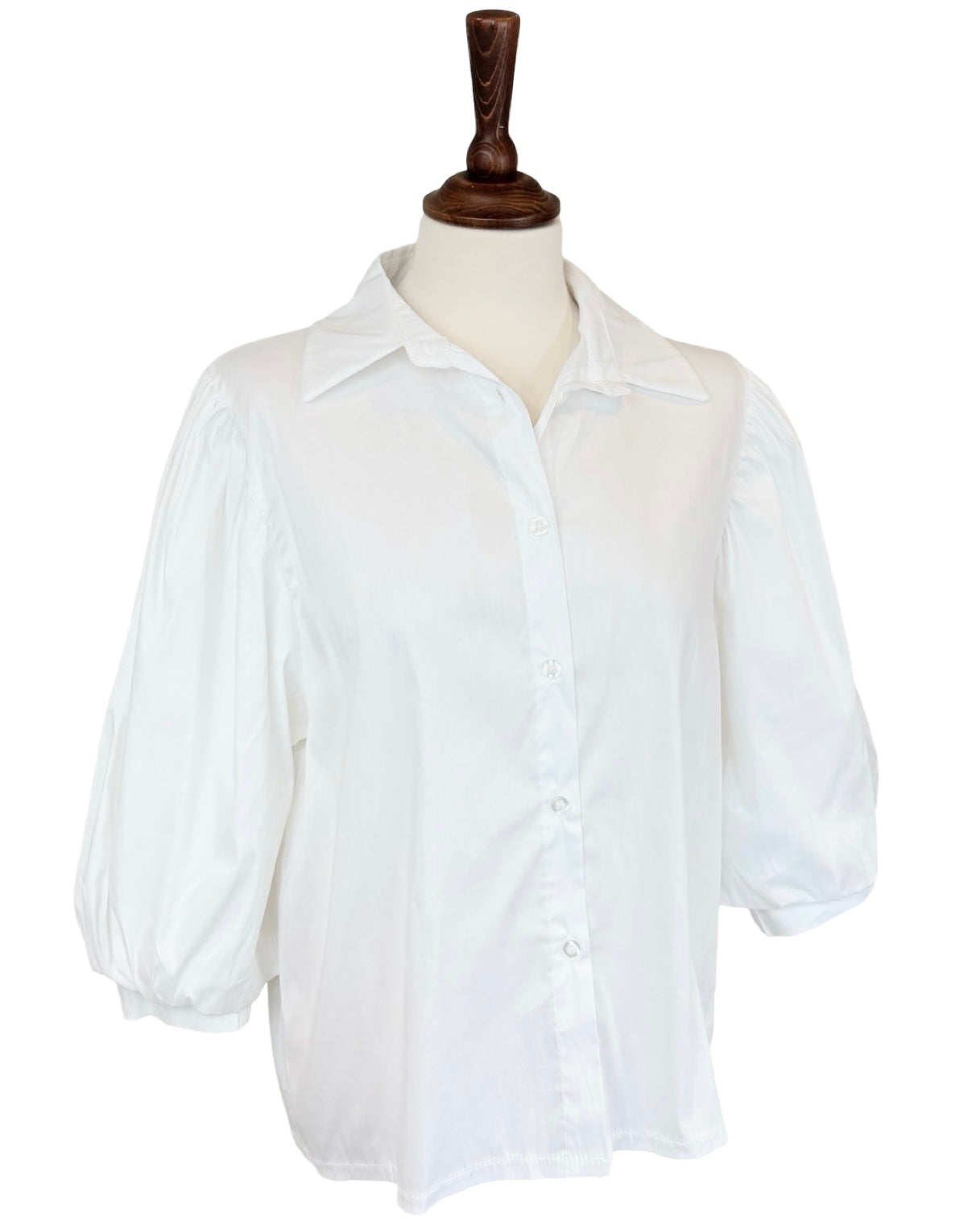 Adaline Balloon Sleeve Blouse