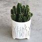 Porcelain Planter - Bloom/Sprigs